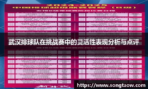 武汉排球队在挑战赛中的灵活性表现分析与点评