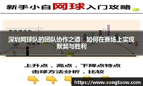 深圳网球队的团队协作之道：如何在赛场上实现默契与胜利