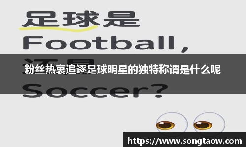 粉丝热衷追逐足球明星的独特称谓是什么呢