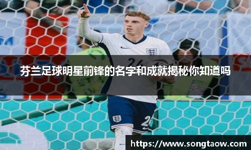 芬兰足球明星前锋的名字和成就揭秘你知道吗